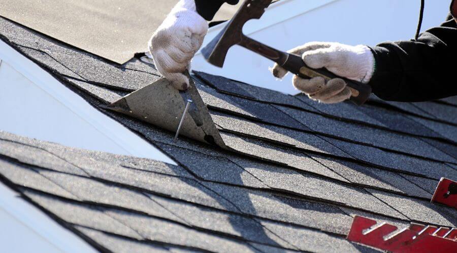Professional gutter cleaning in Wimauma, FL